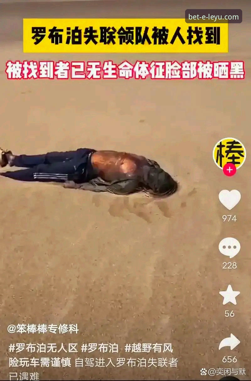 乐鱼体育官网安装失败 揭秘乐鱼体育官网安装失败的五大真相:资深分析师带你破解下载困局